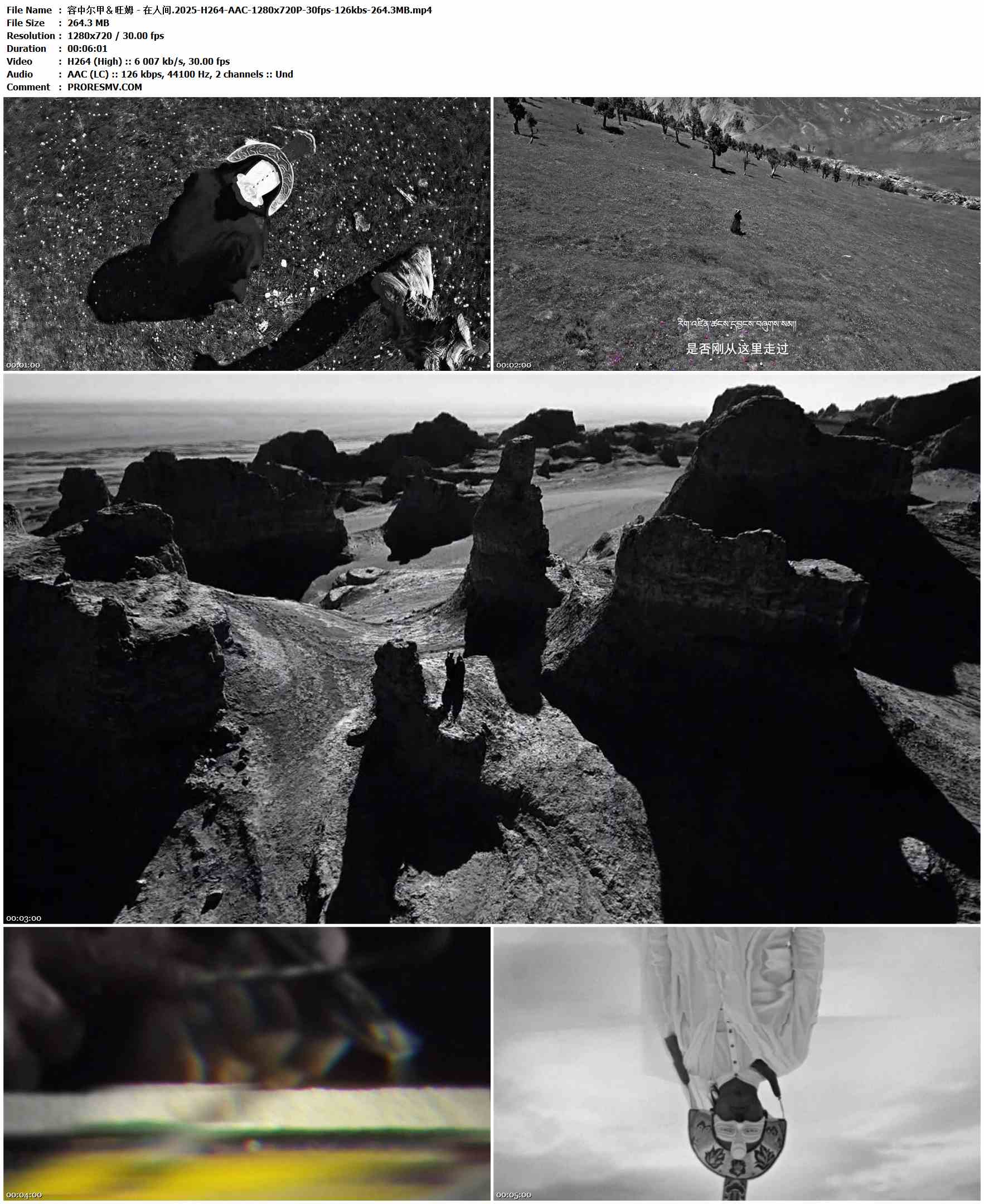 容中尔甲＆旺姆 - 在人间.2025-H264-AAC-1280x720P-30fps-126kbs-264.3MB官方MV_高清MV